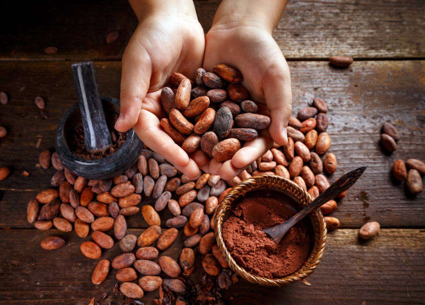 hands holding cocoa beans
