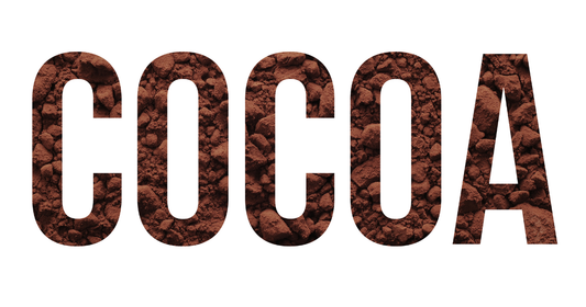 The daily habit that nourishes your brain