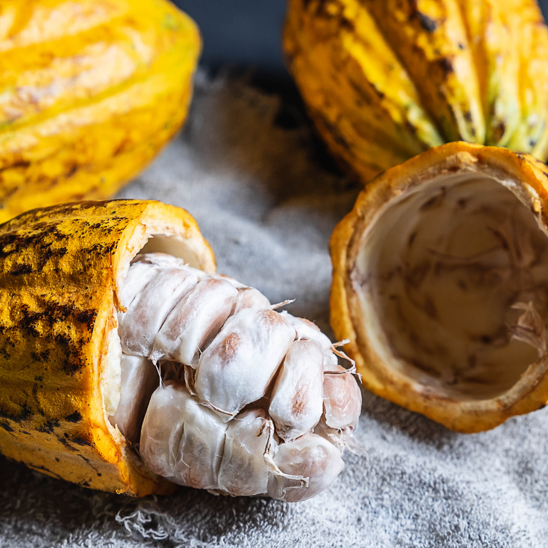 Cocoa pod or ritual pour imagery